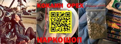 гидра Краснодар