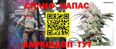 прущие грибы Краснокаменск