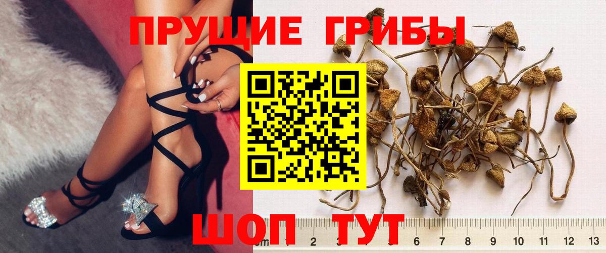 Ухта  даркнет сайт  Вход с VPN  Псилоцибиновые грибы Magic Shrooms 